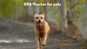 GPS Tracker for pets- My Buddy Gard